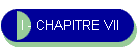 I - CHAPITRE VII